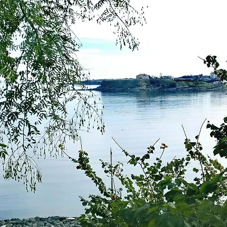 Dima 53 *